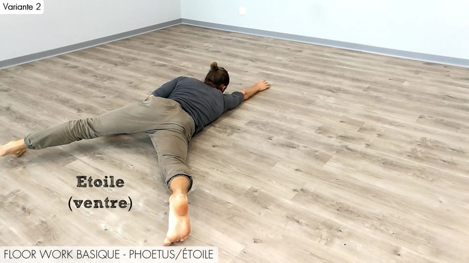 Phoetus étoile